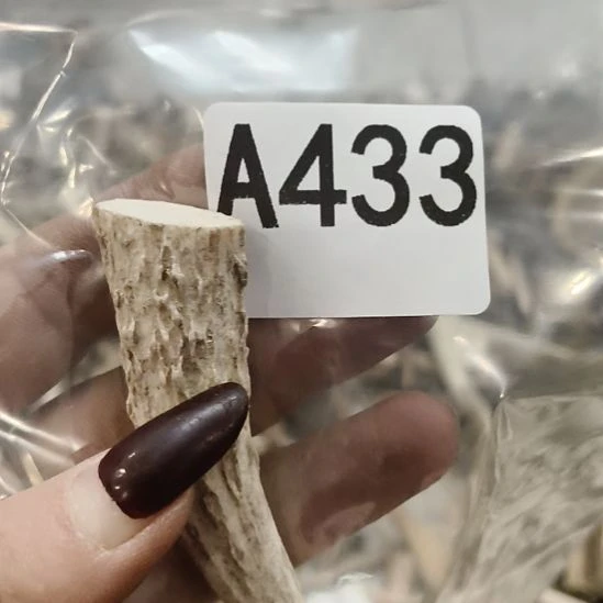 听***轩鹿角鹿角鹿角角鹿角