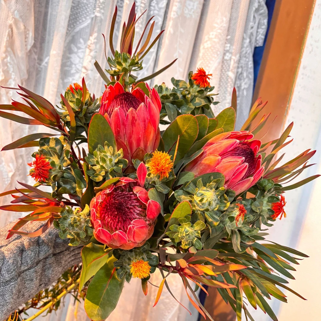 【心想事橙】南非进口鲜花公主花花束