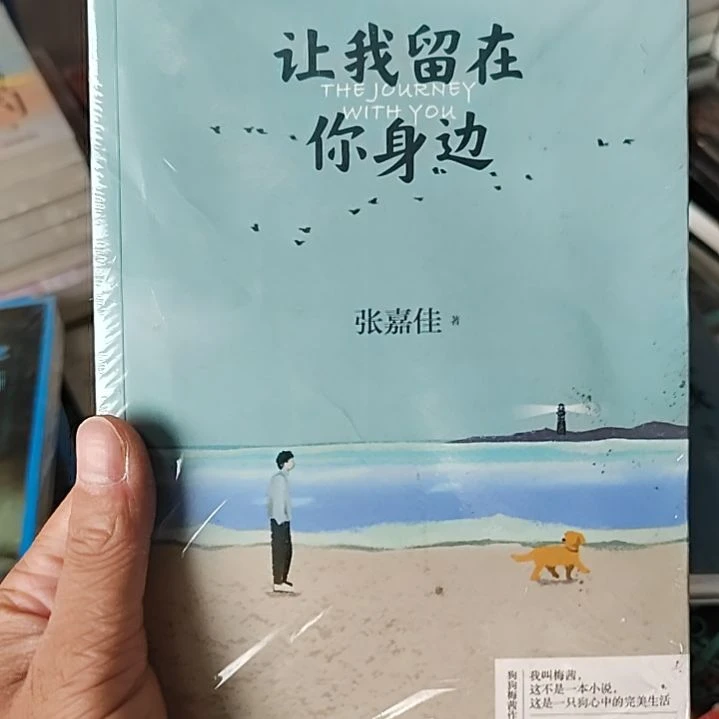 张佳佳让我留在你身边