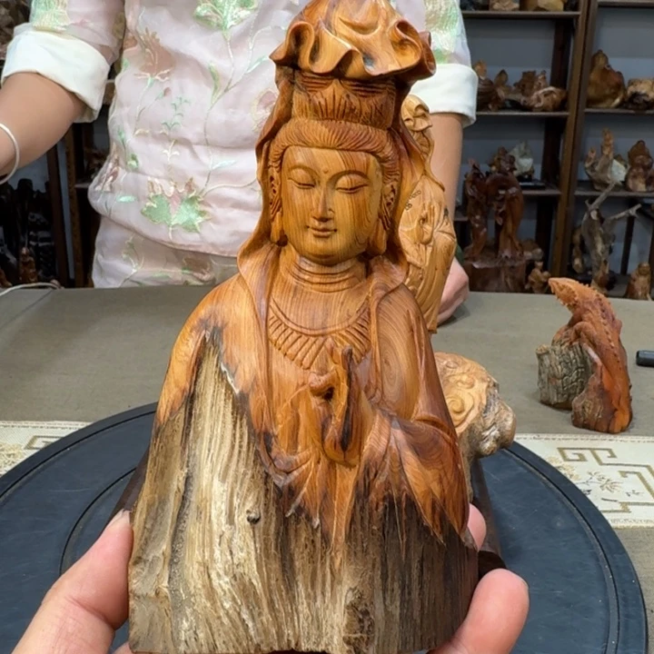 柏木（崖柏）太行崖柏