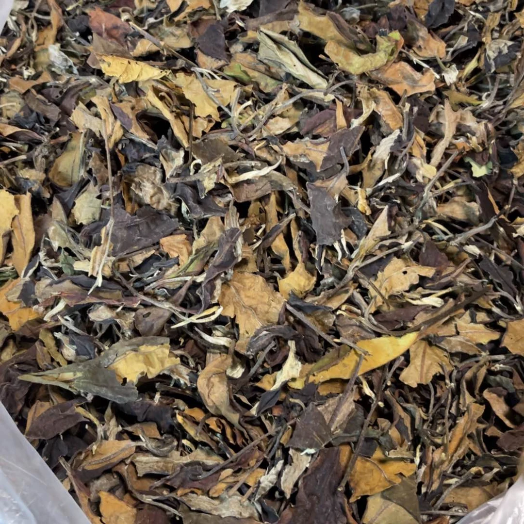 壶1000号龙云陶艺白云推荐老白茶