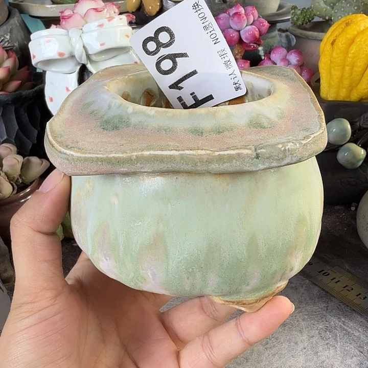 重庆小燕子欢迎大家198