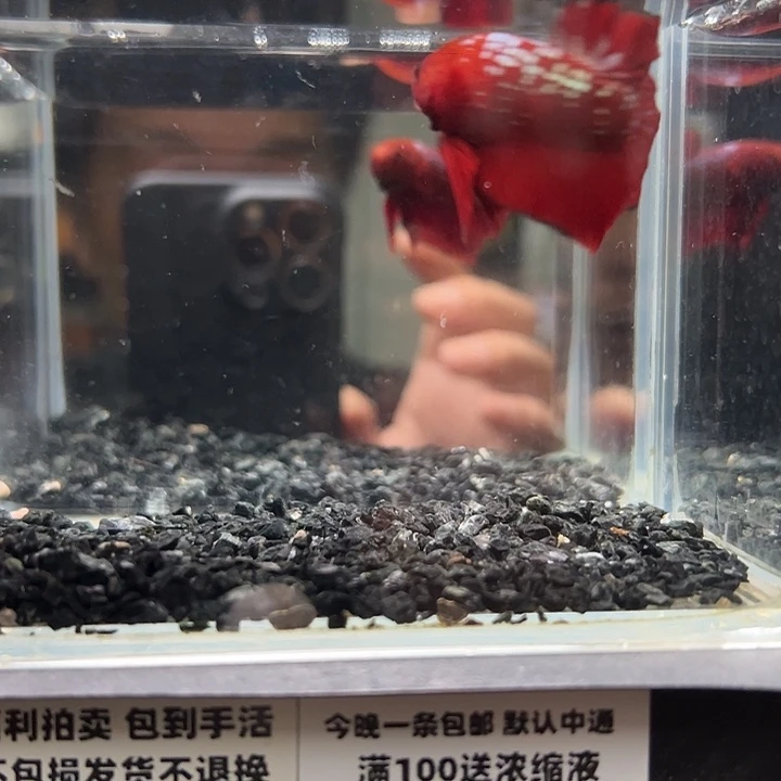 斗鱼跑单拉黑10日56