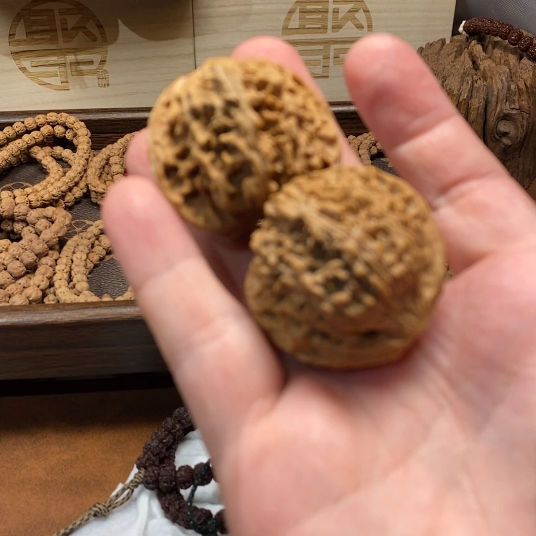 手串金刚菩提满天星