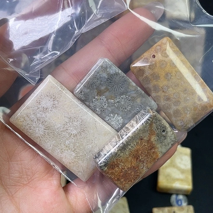 硅化珊瑚（珊瑚玉）珠宝金石合金?****?