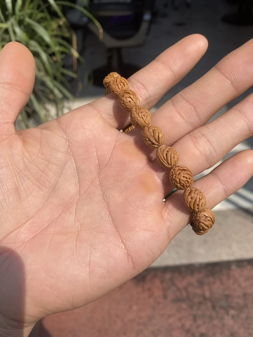 碧桃毛桃核肌肉纹理10 +小尺寸