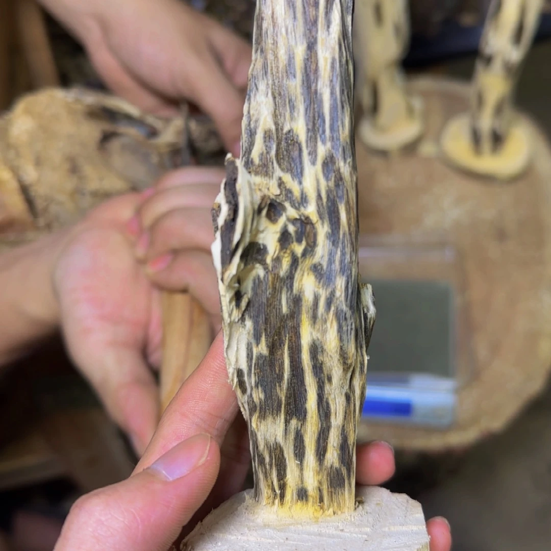 沉香红骨精品摆件发一份