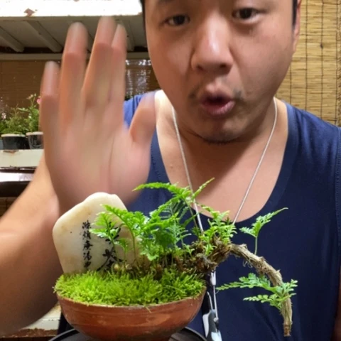 红陶一物一拍所见即所得35