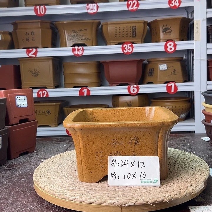 紫砂花盆蛇年大吉，