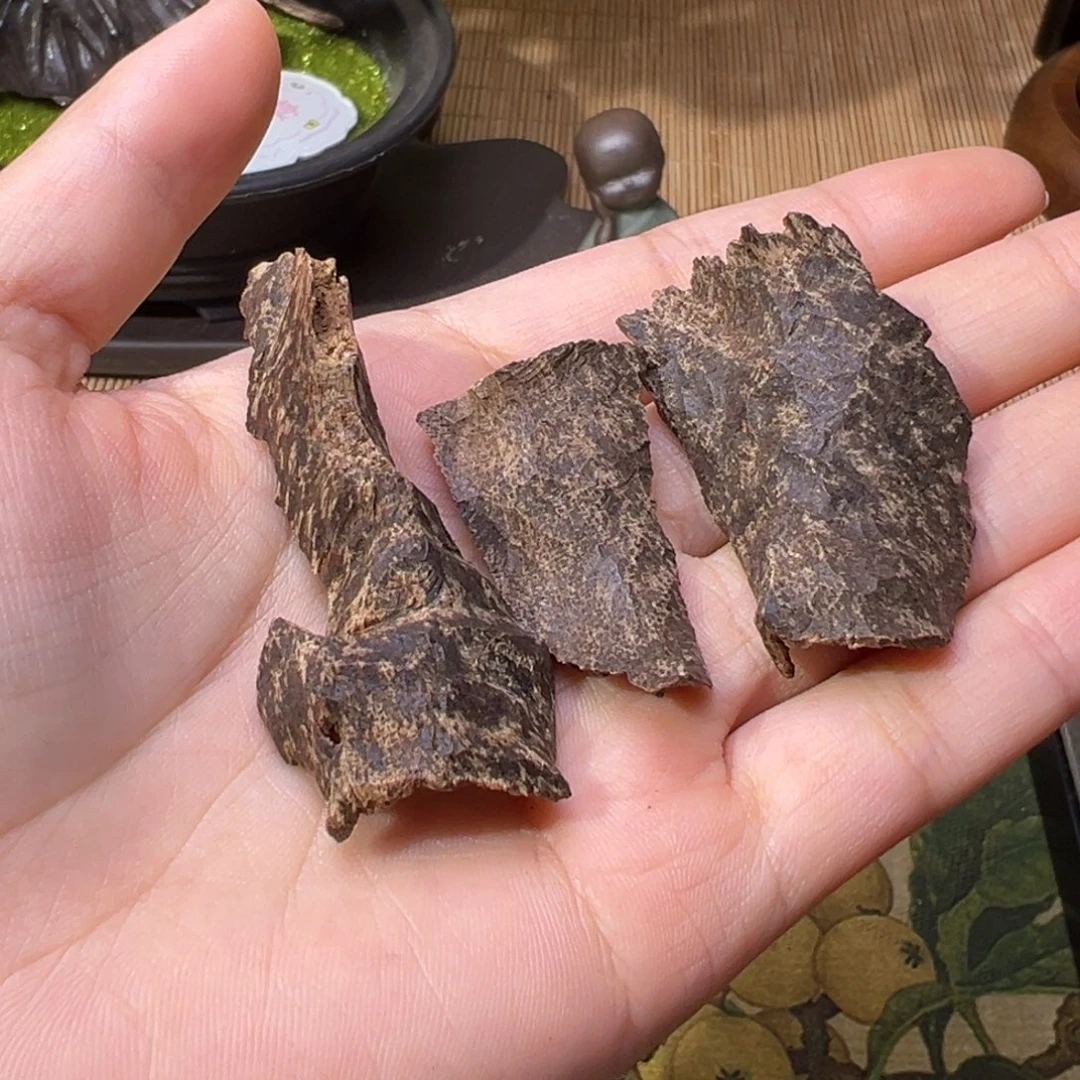 香榧木海南木料尖峰岭沉水鸡母虫漏5克