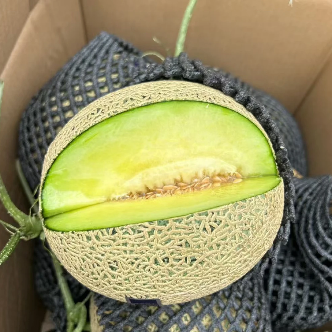 网纹蜜瓜一个冰淇凌口感