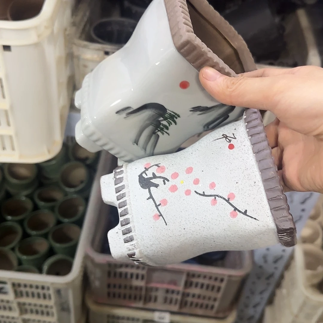 2个福利局［凑9元包邮24小时发］8005.9007