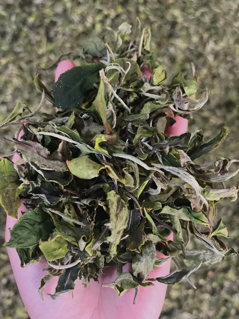 2025年头采老品种白茶250克2袋