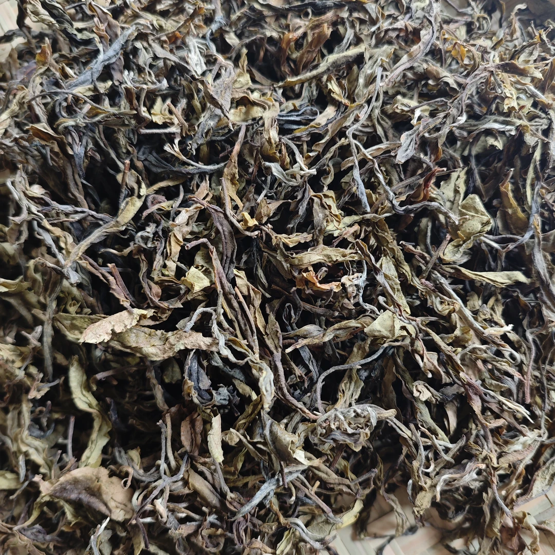 【茶农直供】2024年老曼峨古树黄金叶 云南普洱茶 生茶 、散茶