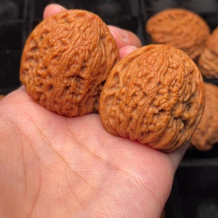 菩提籽类秦岭野生核桃文玩