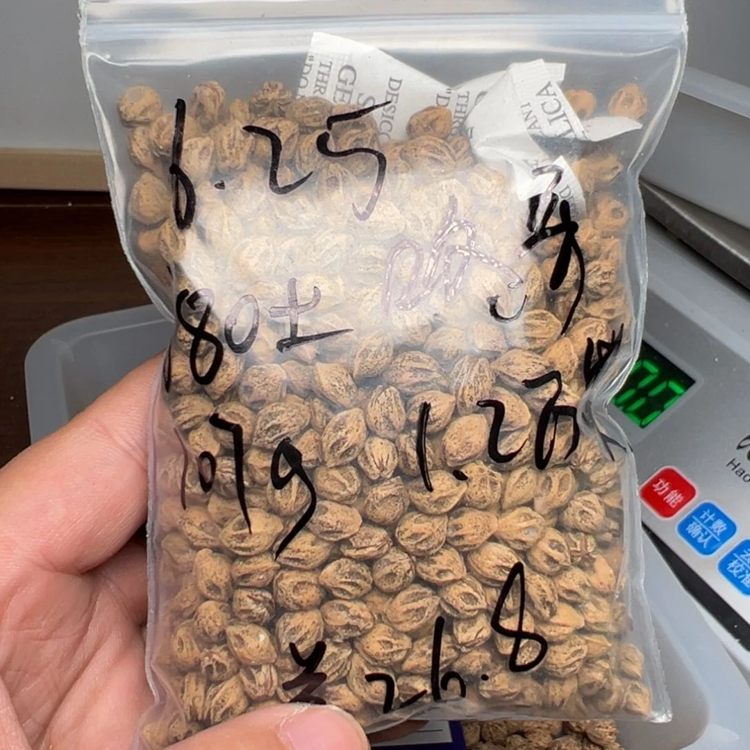 柏香籽/百香籽吊坠哒***咚