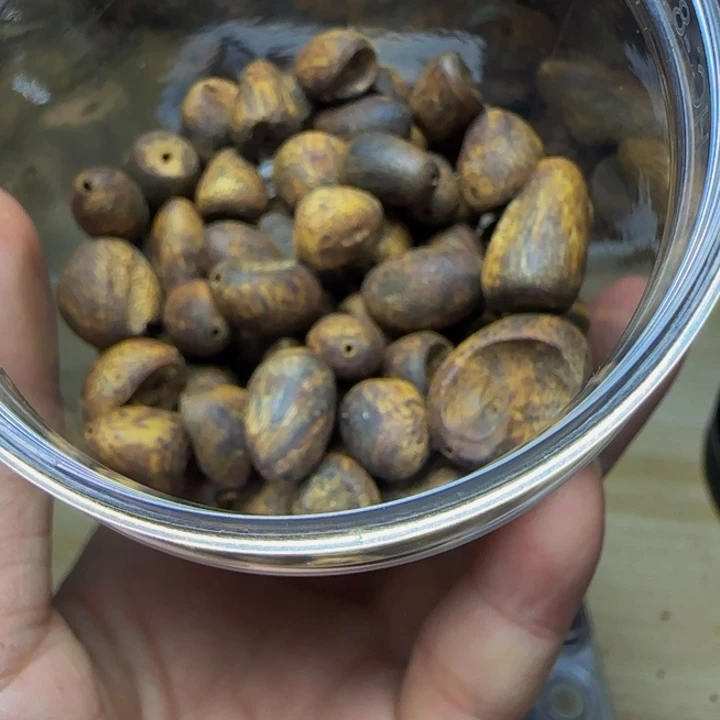 黄***金红奇天然树丁料39克