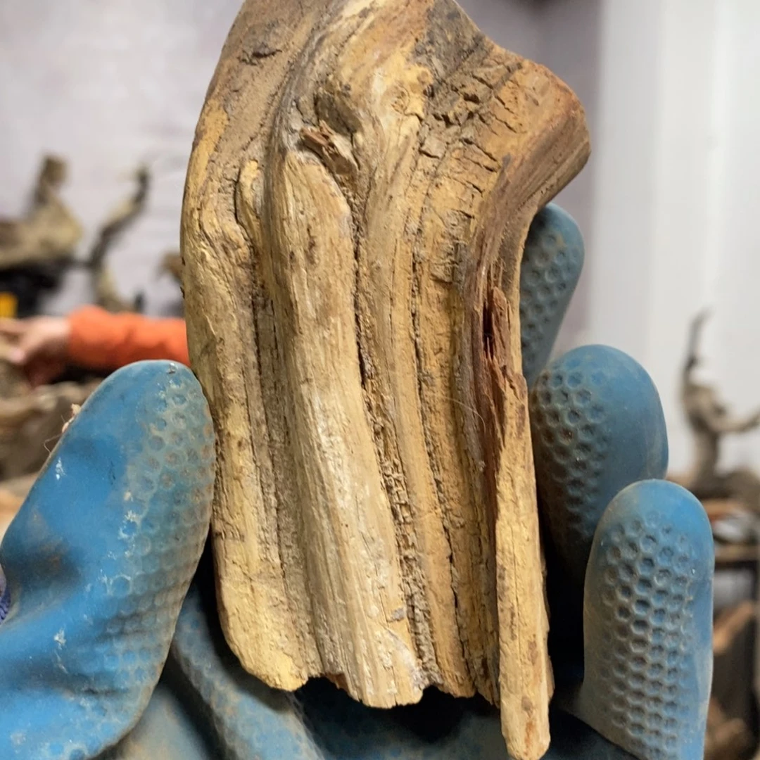 柏木v*c我们都是好孩子