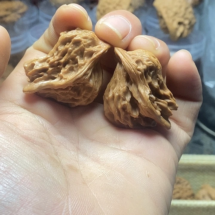 吊坠桃核盘山小鸟