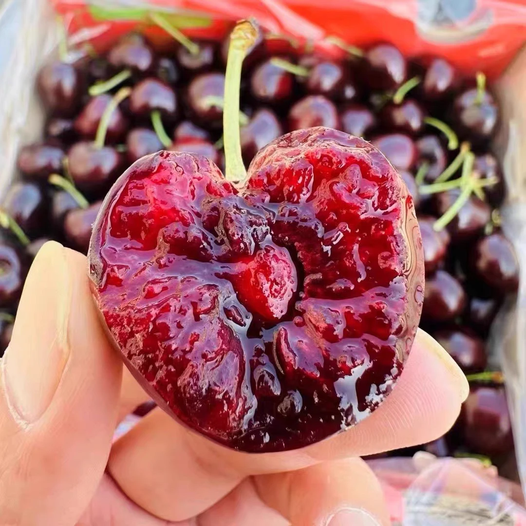 【新疆包邮】3JD智利海运车厘子桑提娜樱桃内附果径卡