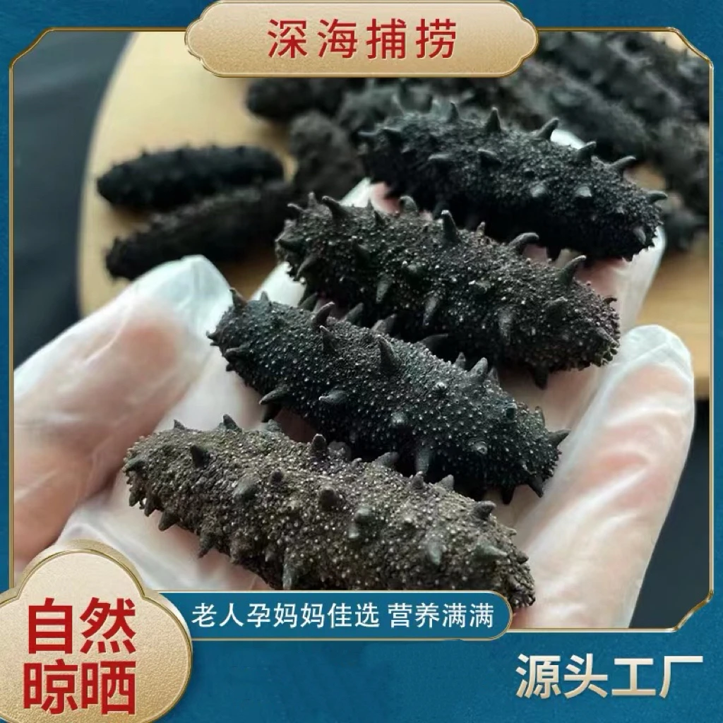 【临时链接】国特高泡发70-100头/斤深海海参