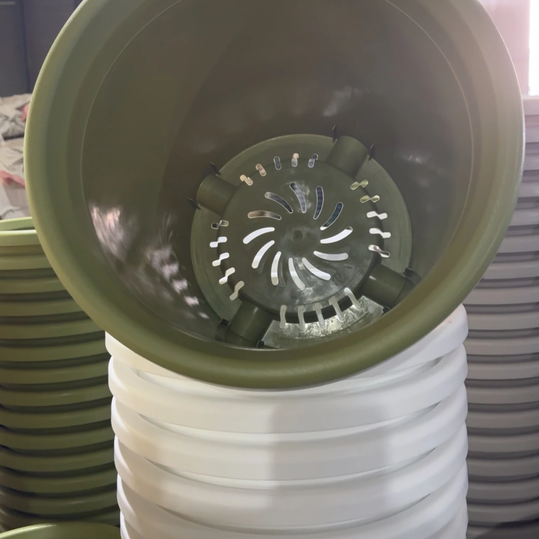 树脂四季7号6个果绿色