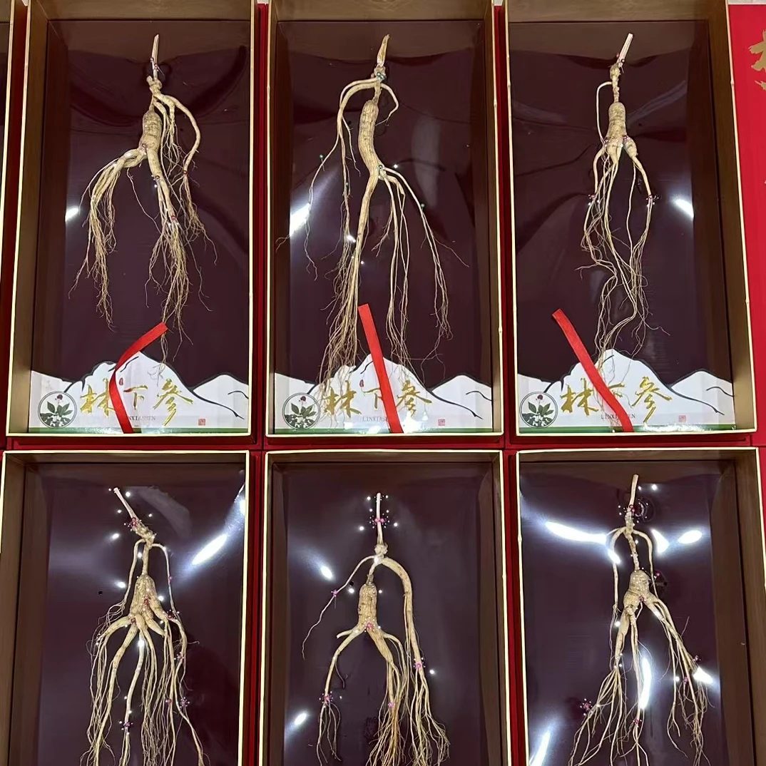 长白山林下参精品礼盒适合送礼可泡水煲汤泡酒