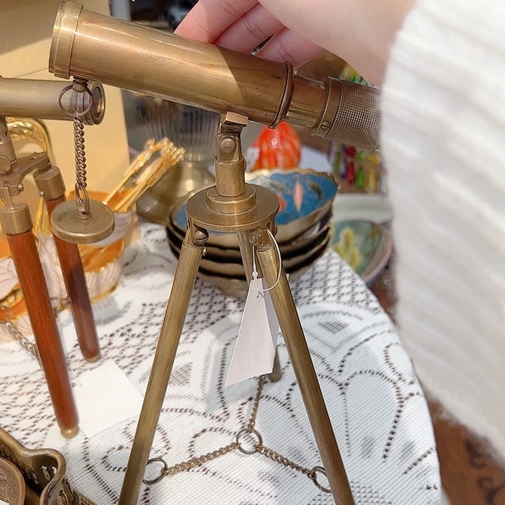 粉*西高货摆件创意绿植