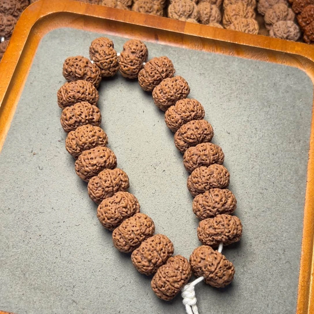 菩提25号金刚菩提蜂王夹板定制23