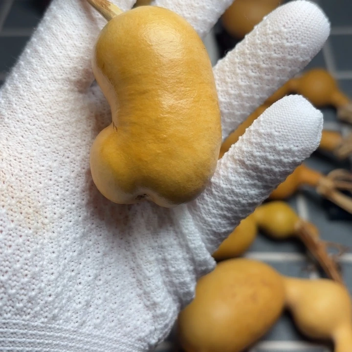 热***圆色差6666666666666