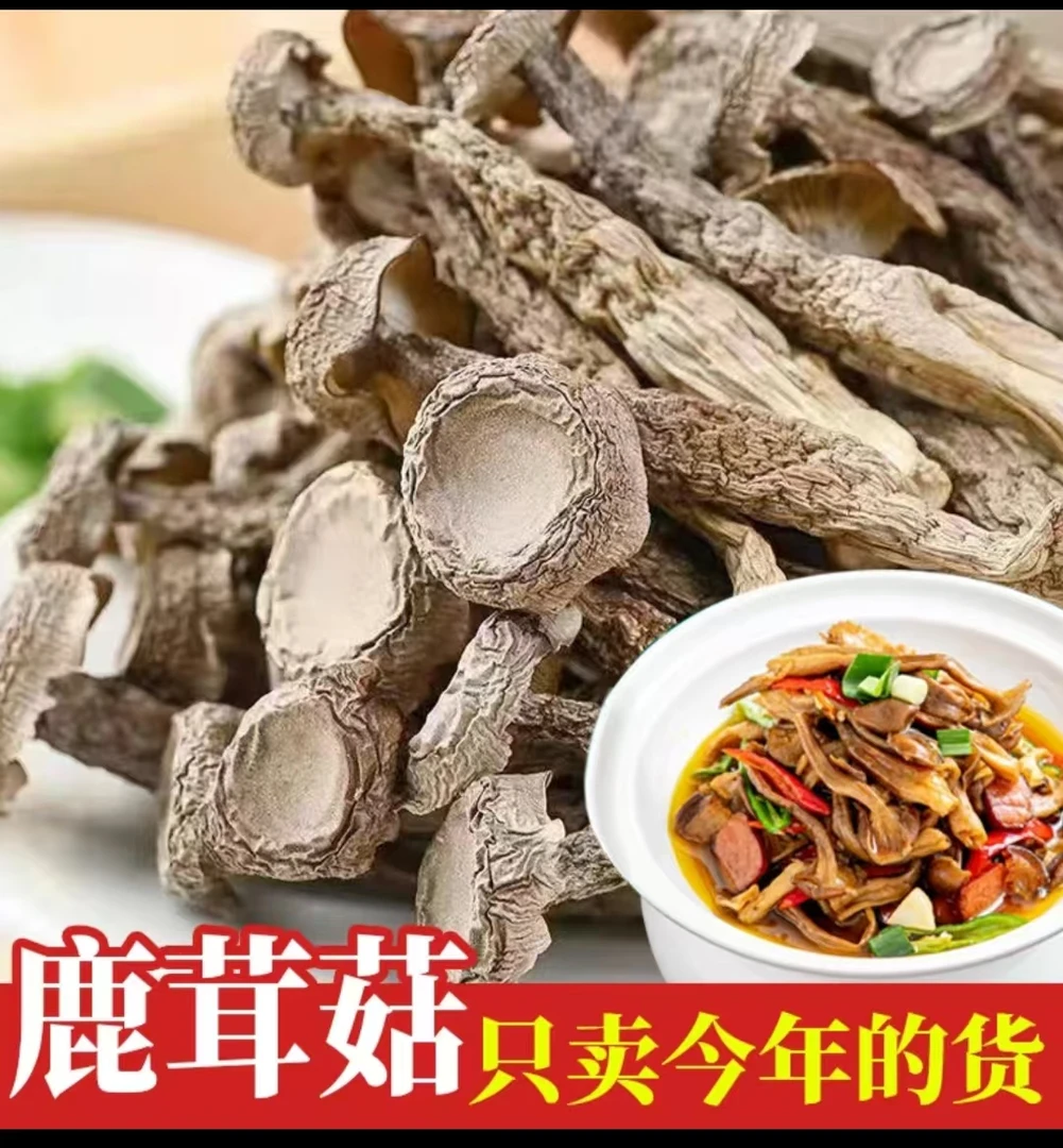 甄选干鹿茸菇货煲汤干锅特产新货500g非净重