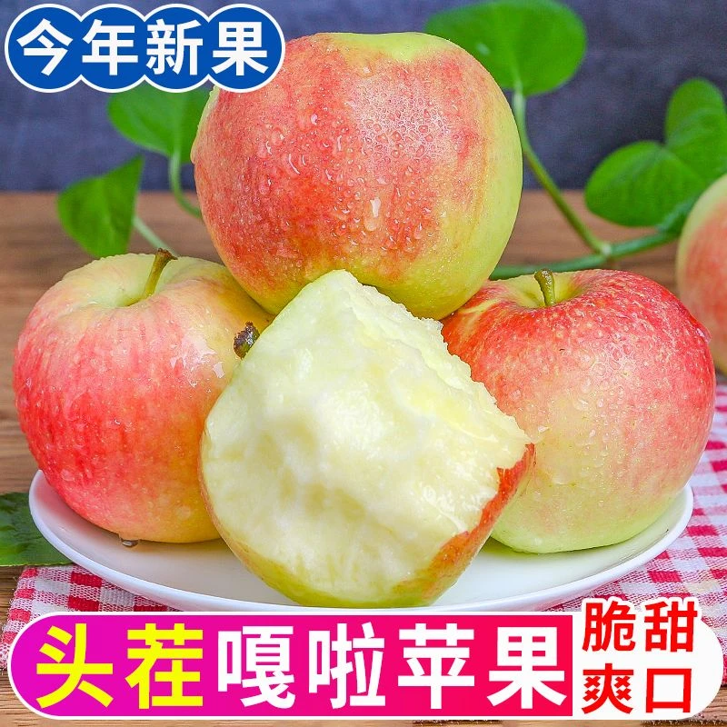 【嘎啦粉苹果】现摘新鲜采摘2025年嘎啦小苹果买5斤送5斤粉面香甜