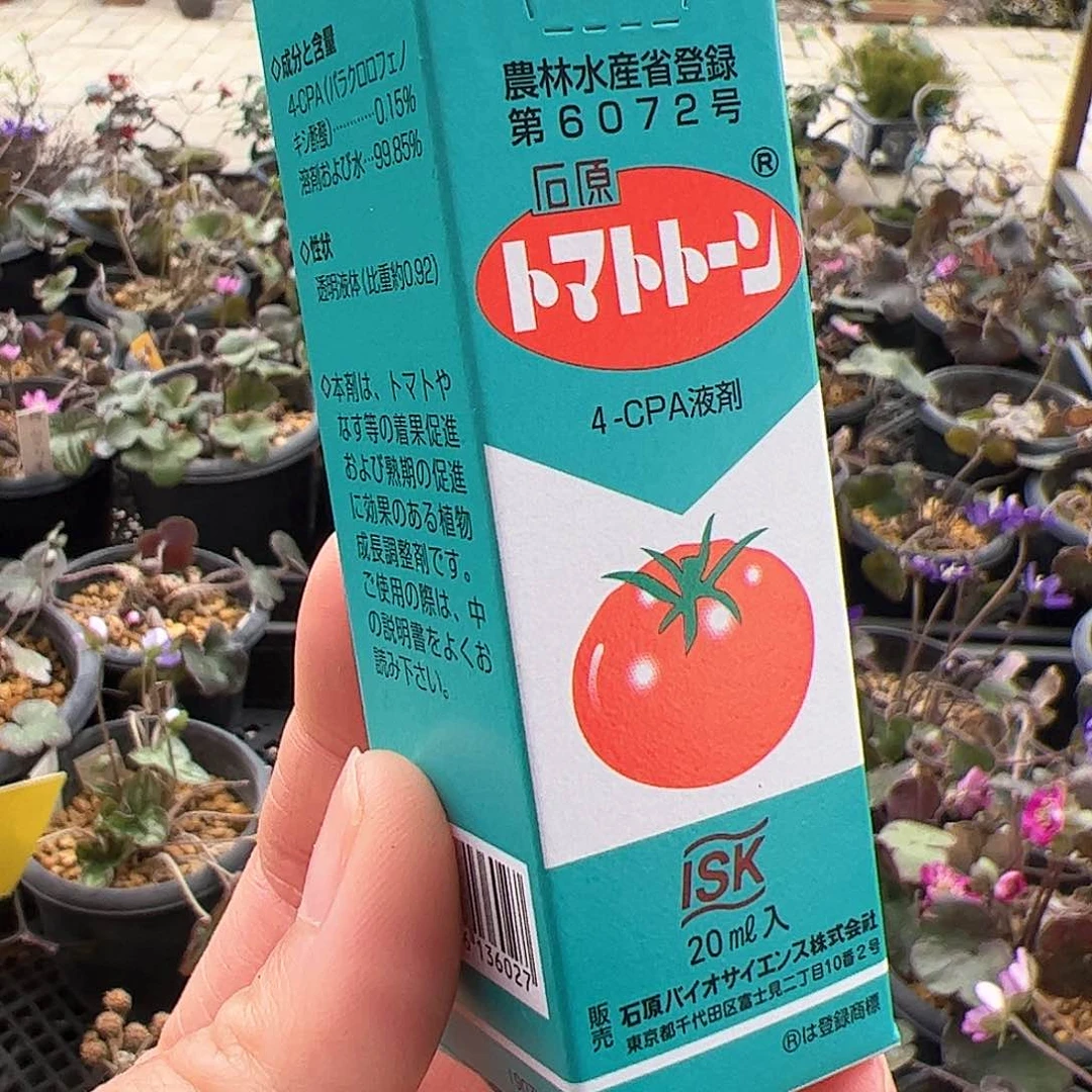 红陶顺丰到付。