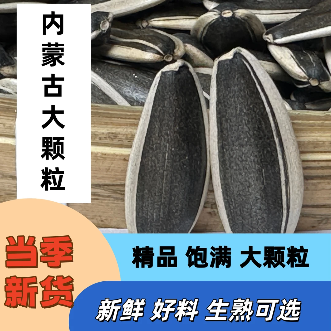 内蒙古新鲜原味精品大颗粒葵瓜子生瓜子批发新货葵花籽美味零食