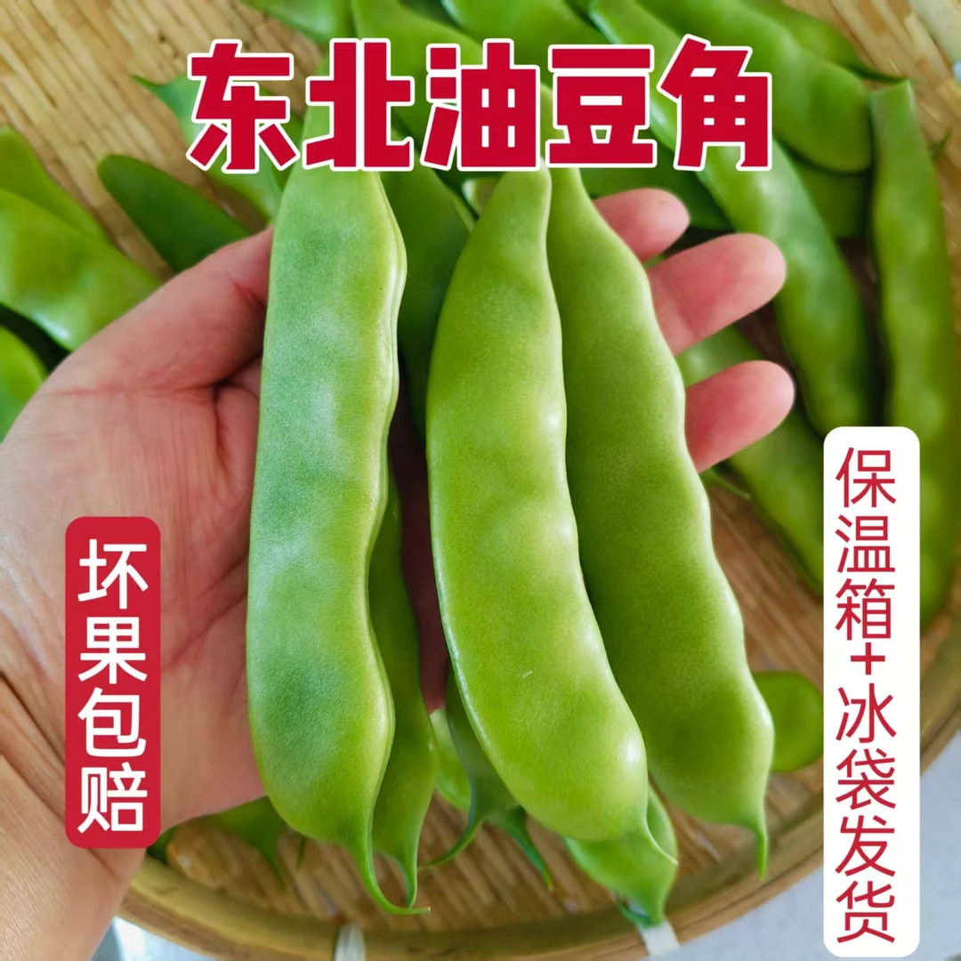 黑龙江依安县紫花油豆角新鲜现摘开锅烂油豆角