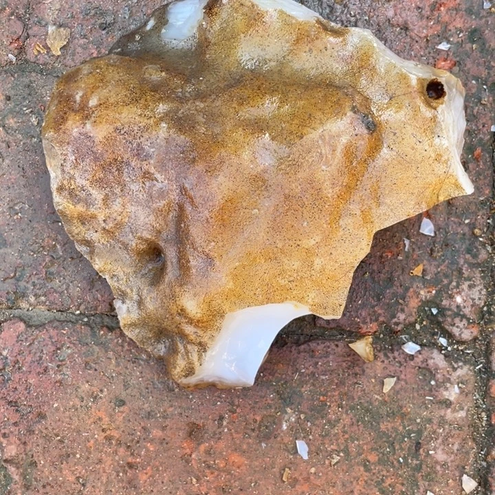 幸***鱼定制玛瑙定制玛瑙手镯