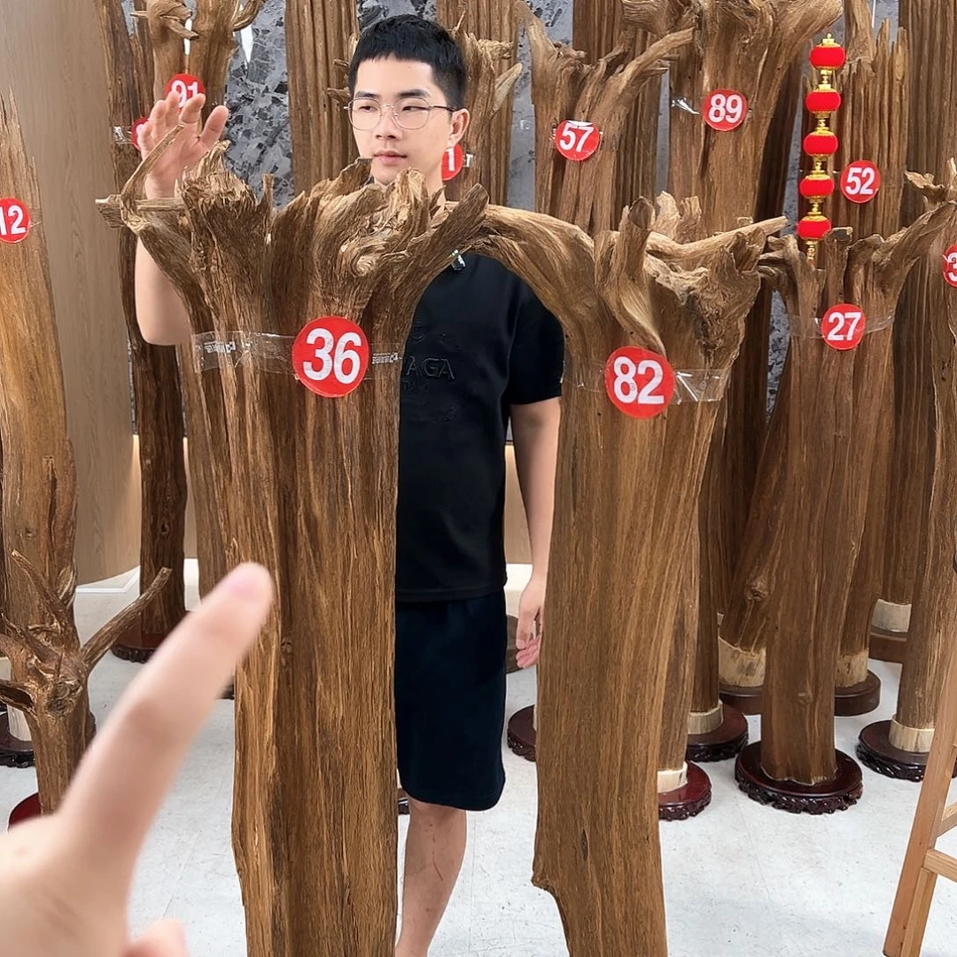 小***哥沉香沉香碎屑天然沉香