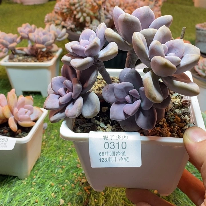 0310啊啊啊啊啊啊啊啊