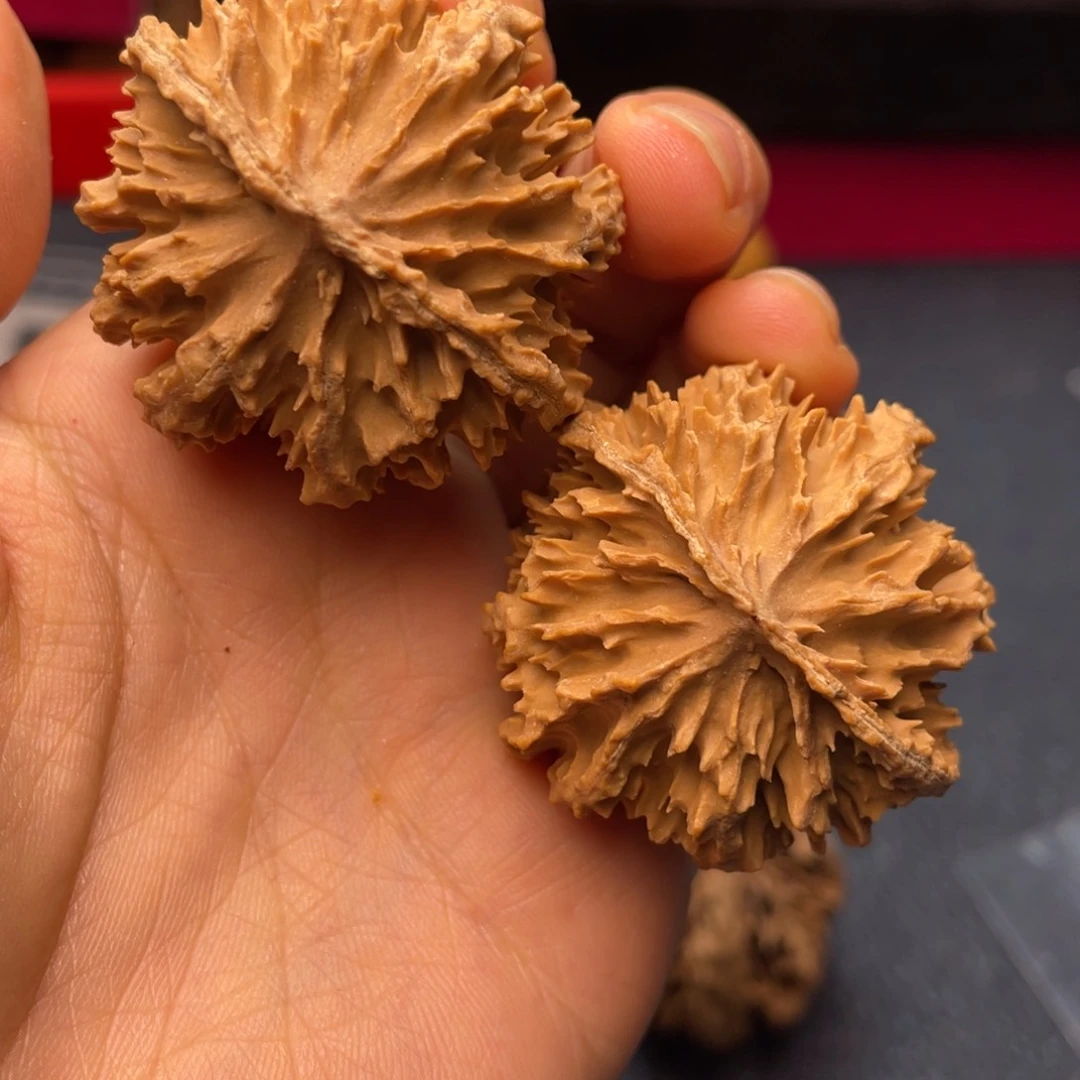 文玩核桃吊坠秦岭核桃33