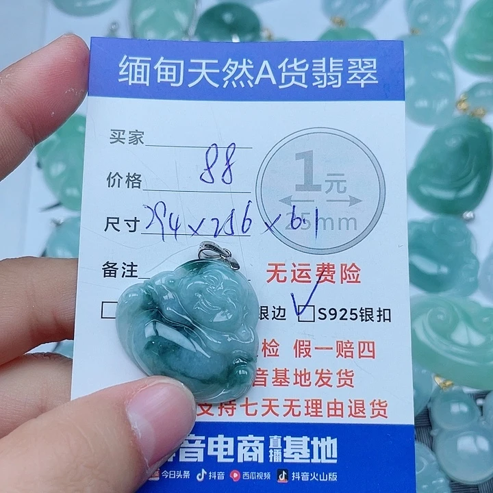 翡翠银S925镶嵌颈饰翡翠