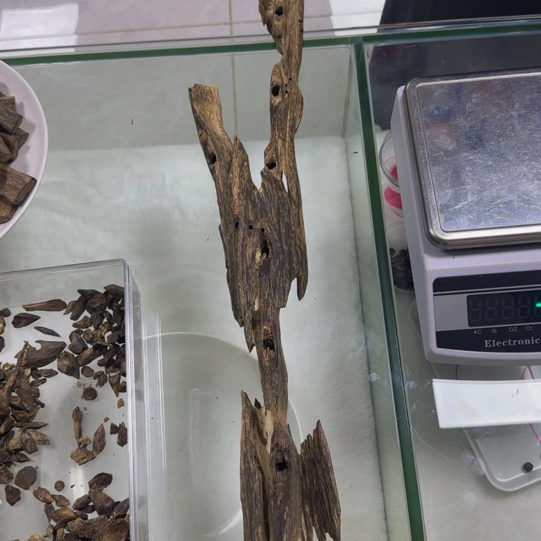 沉香沉香碎屑碗*虫漏香料