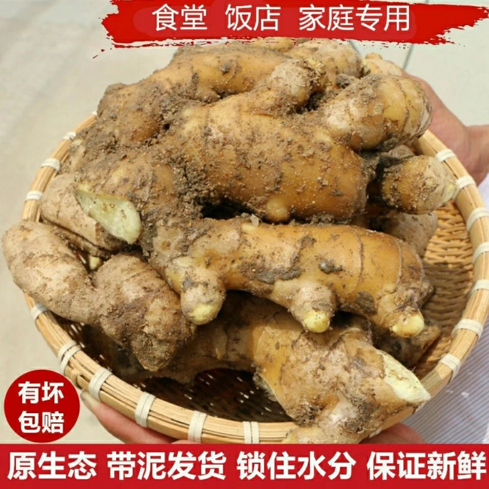 山东大姜新鲜姜带泥姜生姜新黄姜新姜月子姜姜汤新鲜批发蔬菜