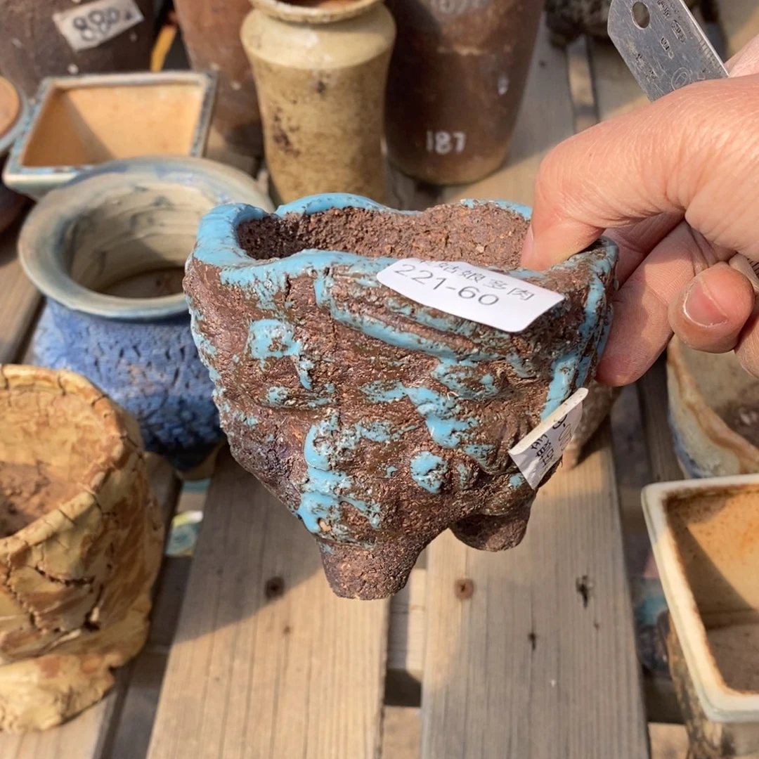 红陶用****960号的人盆一个呀