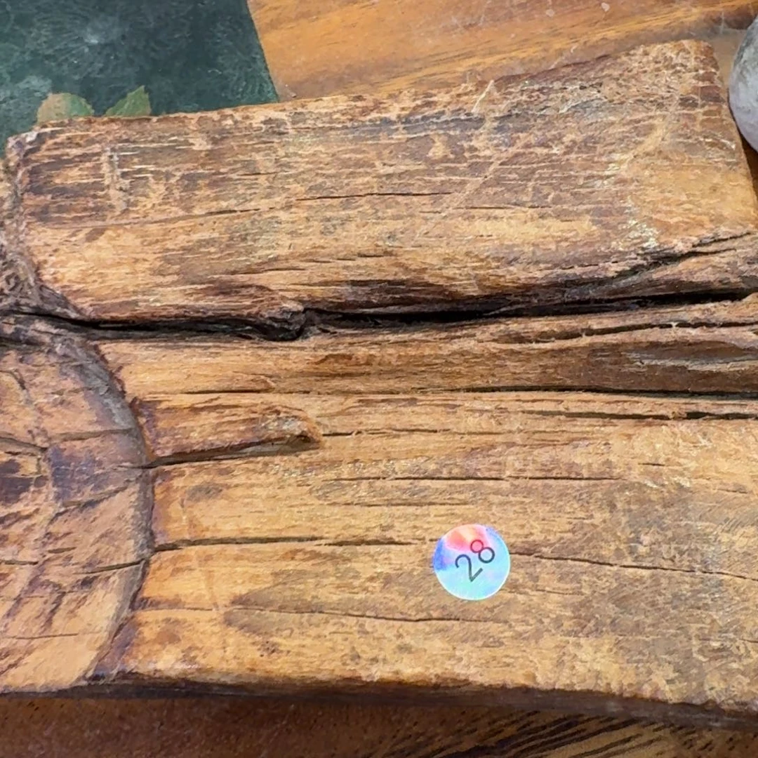 陶瓷呀呀呀呀呀呀小***仔