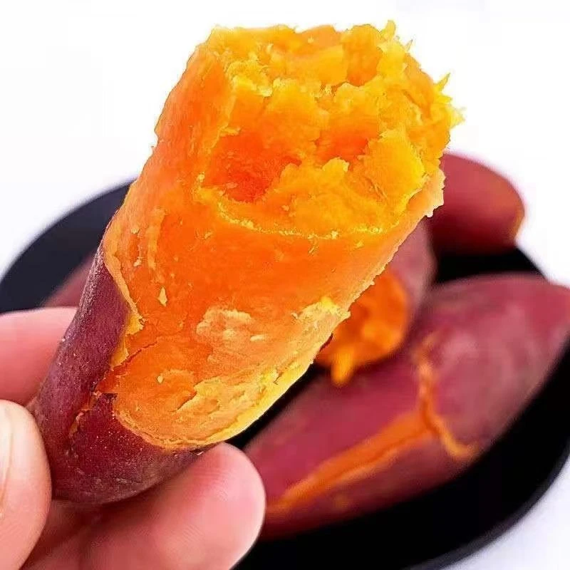 西瓜红红薯 软糯香甜  个别有瑕疵 介意勿拍