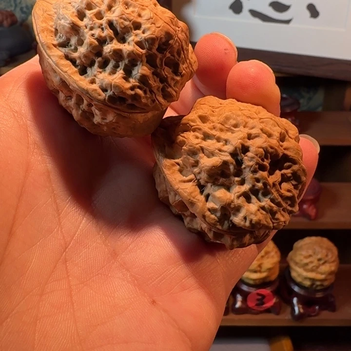 云南铁核桃手把件卧龙5号