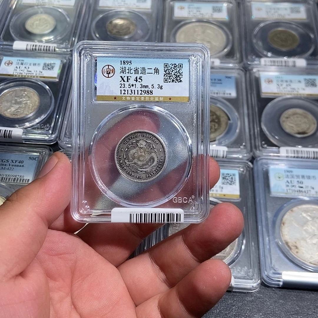 银是**是大头湖北两角龙2988