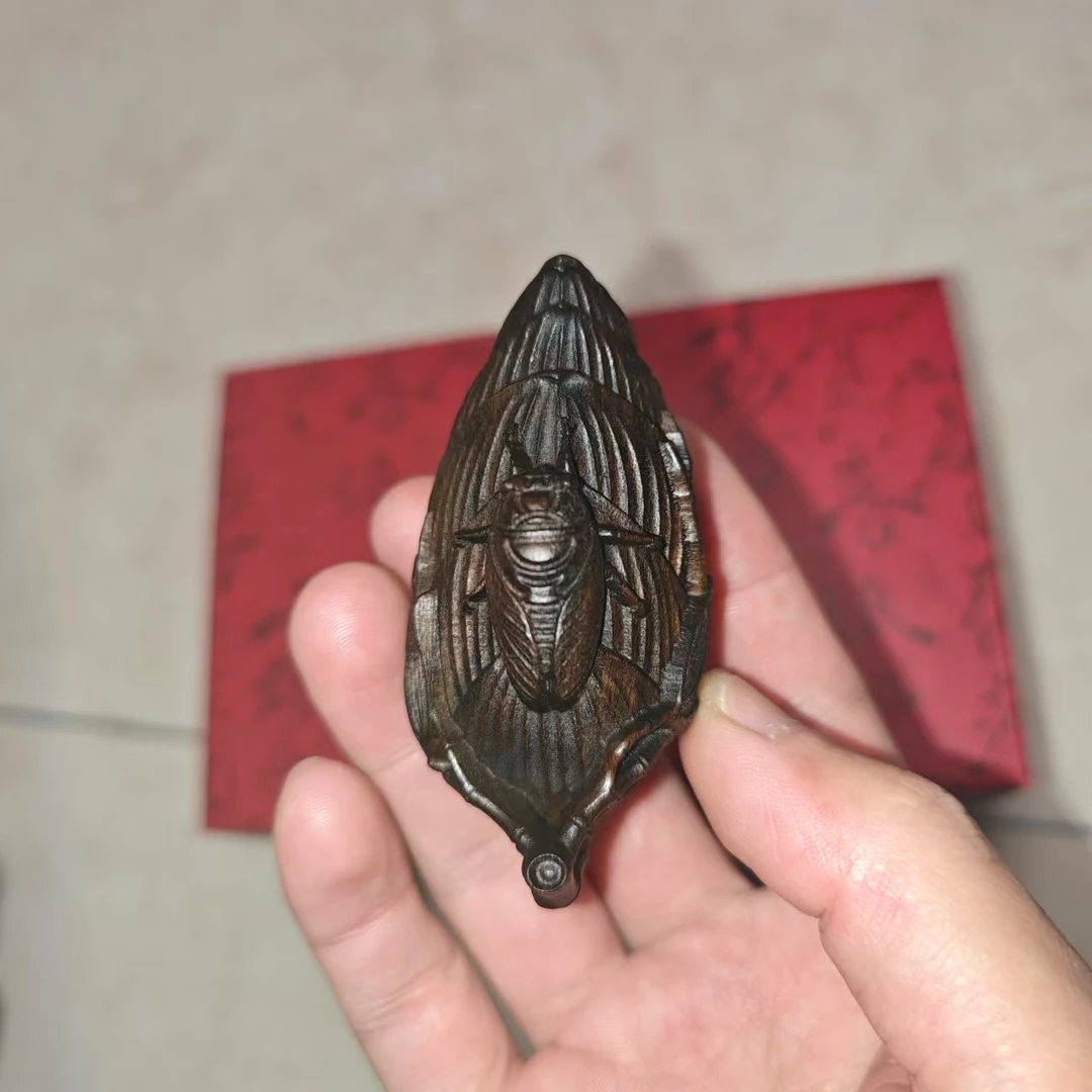 巴布亚贡木一鸣惊人手把件知了夏蝉抱竹节把玩件男女随身工艺品