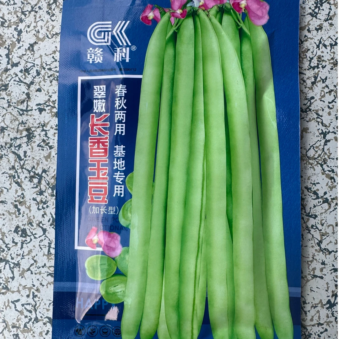 赣科长香玉豆加长型四季豆
