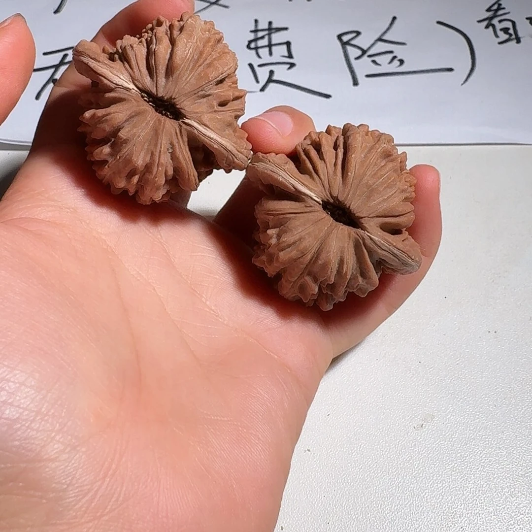 、***゛核桃四座楼老树红皮43